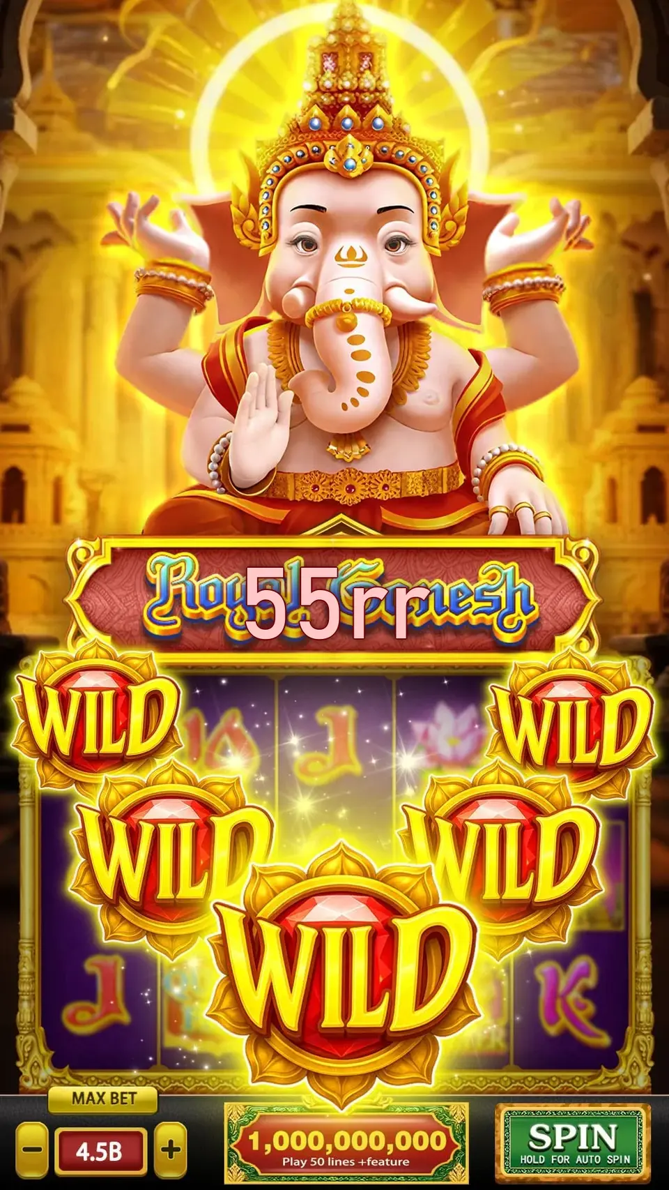 55rr APK